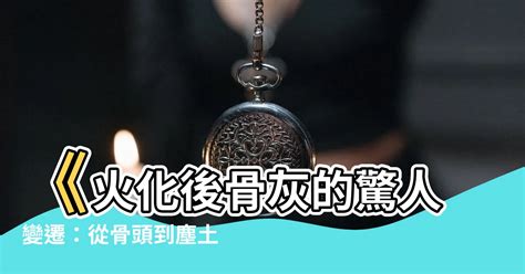 火化後骨灰|火化流程完整攻略：告別式至撿骨，4小時安心送別親人